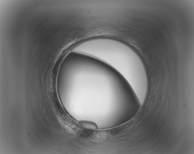 X0000079300587200611170831