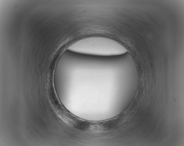 X0000079300591200611170831