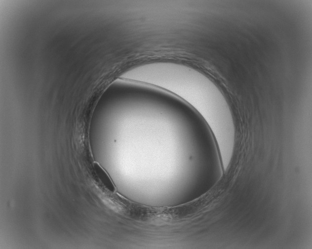 X0000079300593200611170831