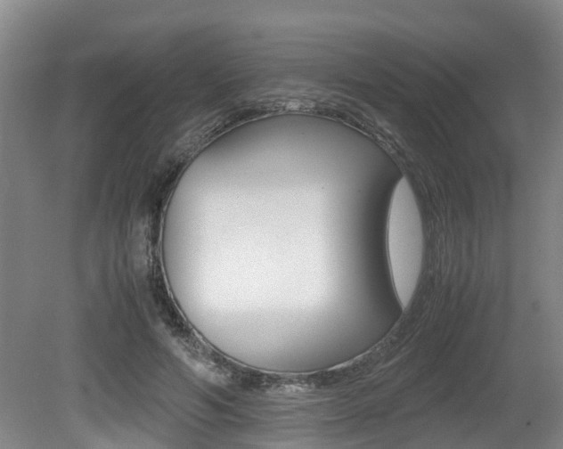 X0000079300594200611170831