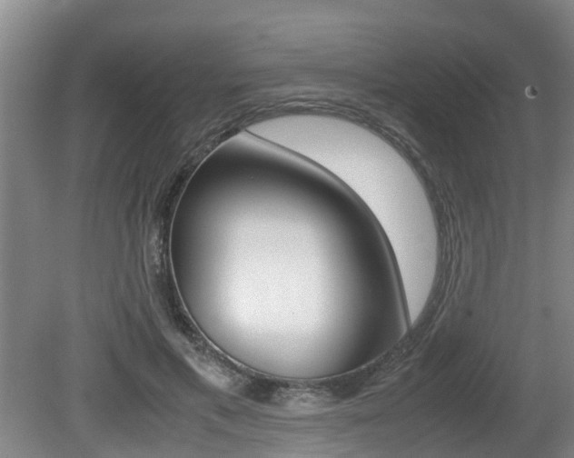 X0000079300597200611170831