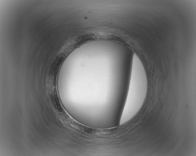X0000079300599200611170831