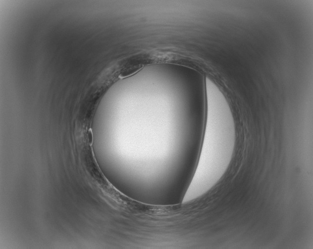 X0000079300601200611170831