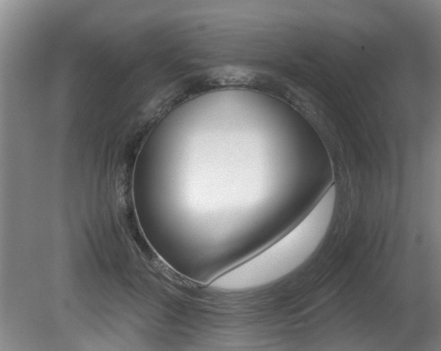 X0000079300604200611170831