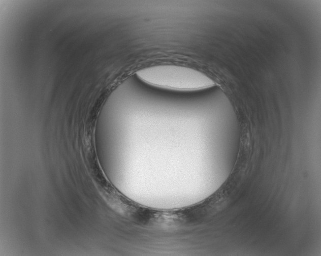 X0000079300607200611170831
