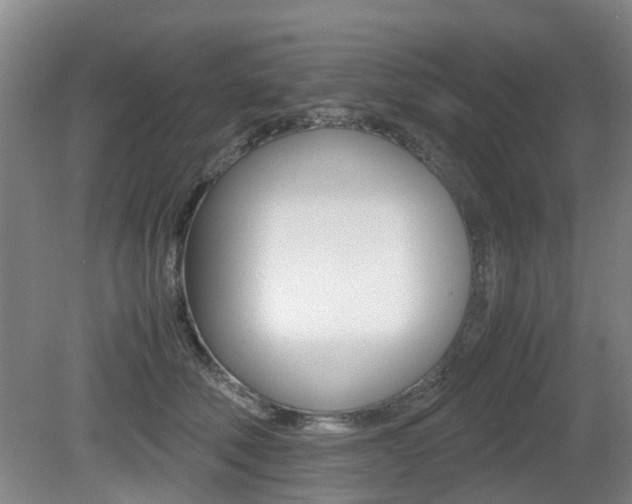 X0000079300610200611170831