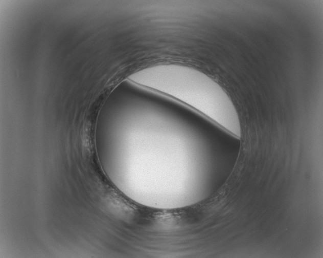X0000079300616200611170830