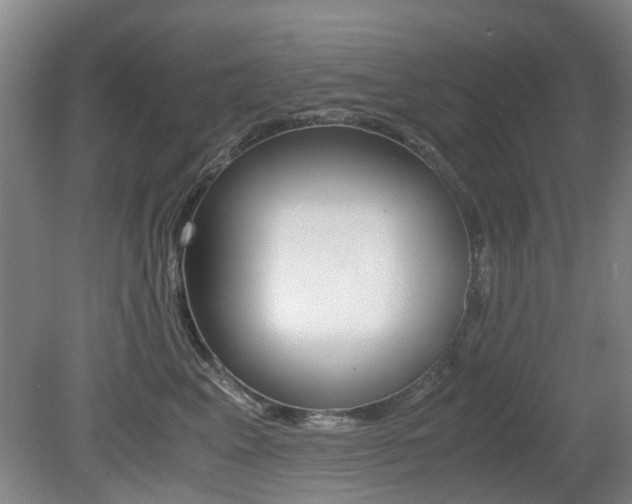 X0000079300617200611170830