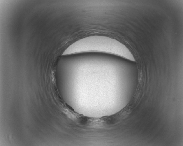 X0000079300621200611170830