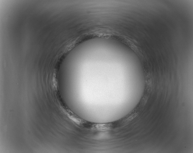 X0000079300622200611170830