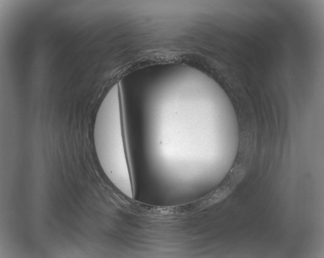 X0000079300624200611170830