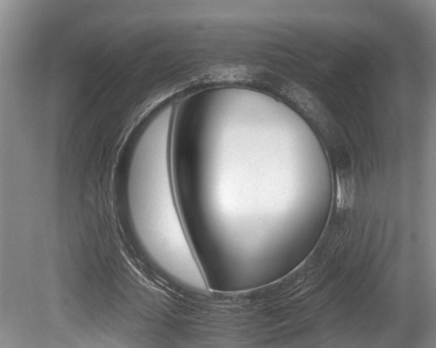 X0000079300627200611170830
