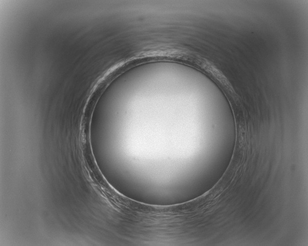 X0000079300628200611170830