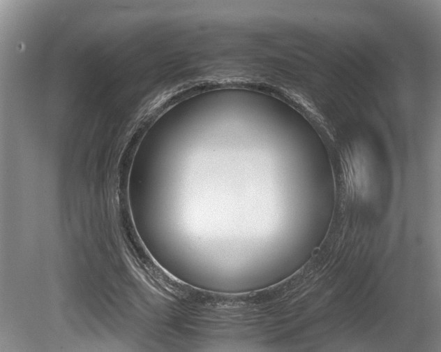 X0000079300631200611170830