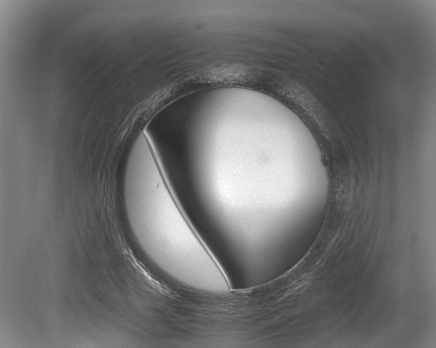 X0000079300633200611170830