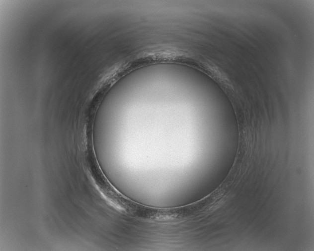X0000079300638200611170830