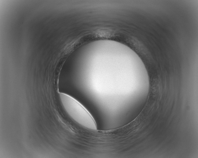 X0000079300639200611170830