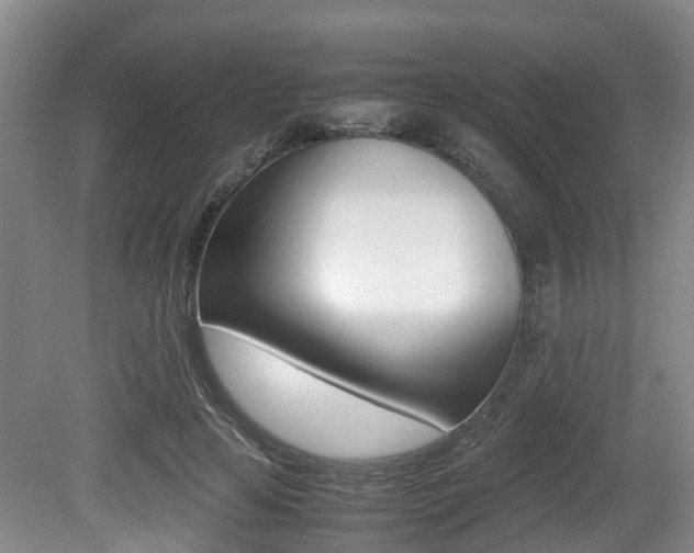 X0000079300641200611170830