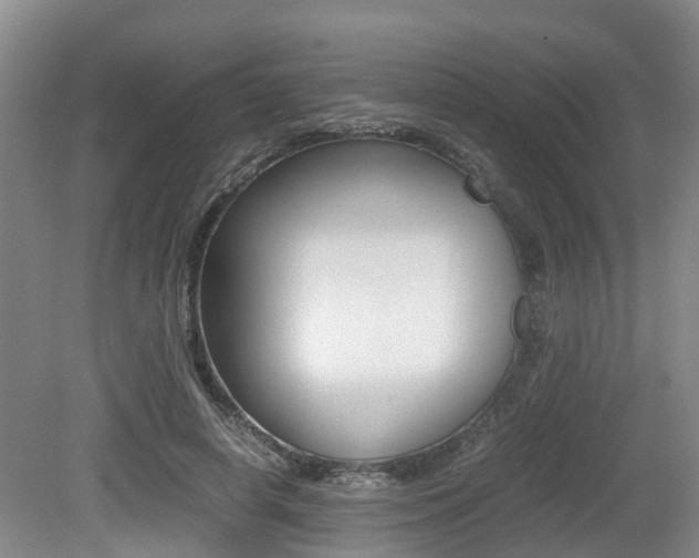 X0000079300642200611170830