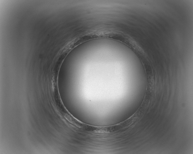 X0000079300644200611170830