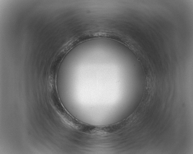 X0000079300648200611170830