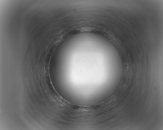 X0000079300655200611170830