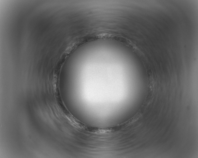 X0000079300664200611170830
