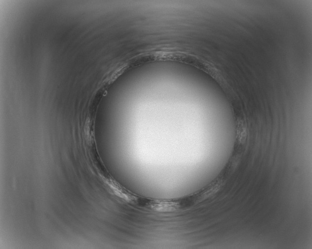X0000079300670200611170830