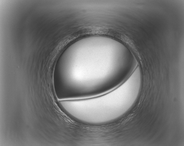 X0000079300673200611170830