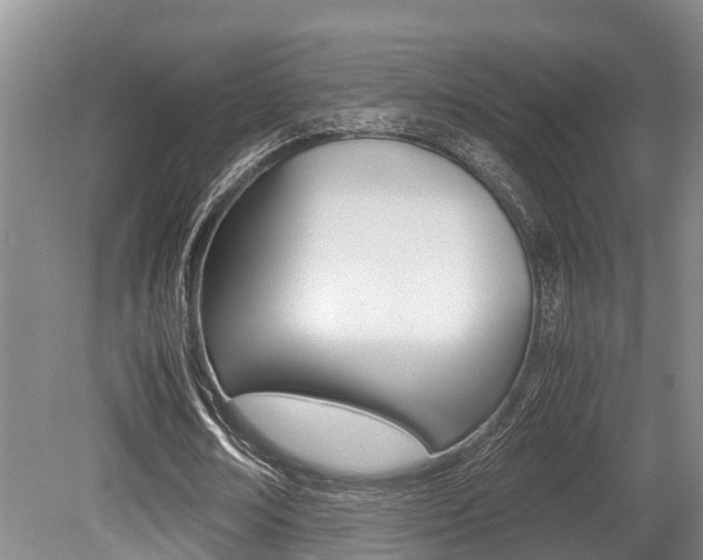 X0000079300674200611170830