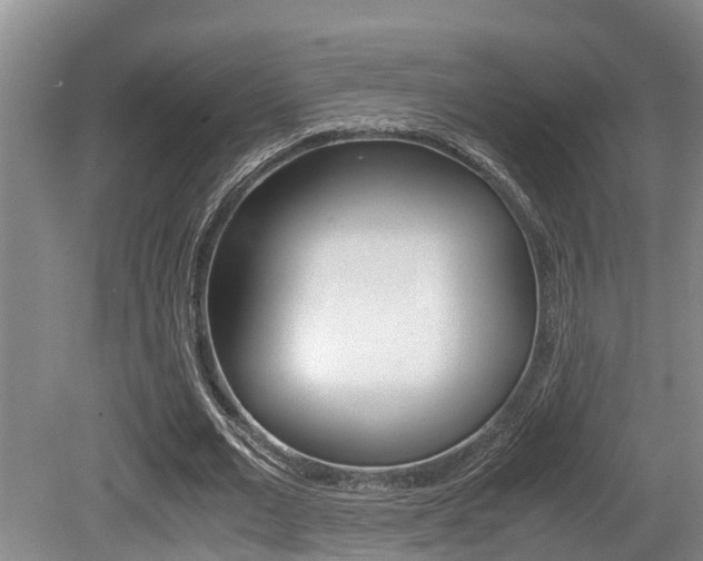 X0000079300677200611170829