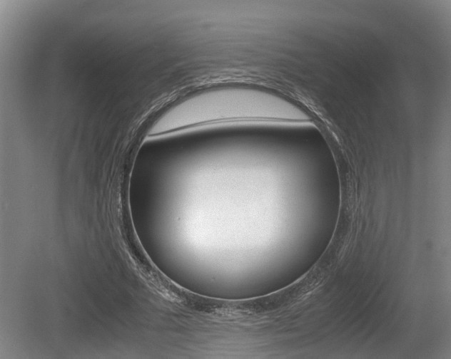 X0000079300681200611170829