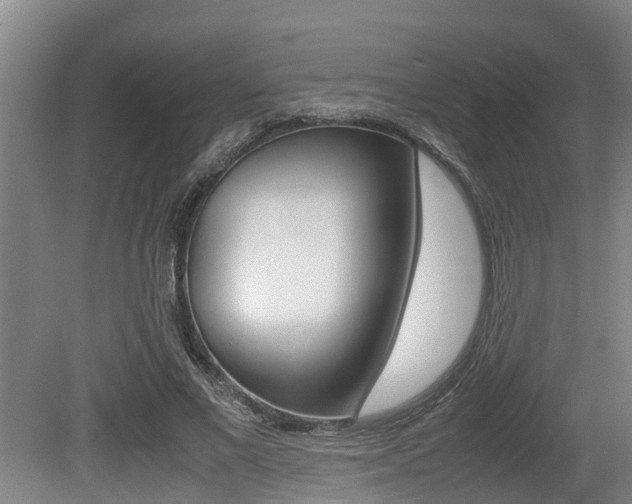 X0000079300685200611170829