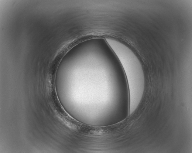 X0000079300688200611170829
