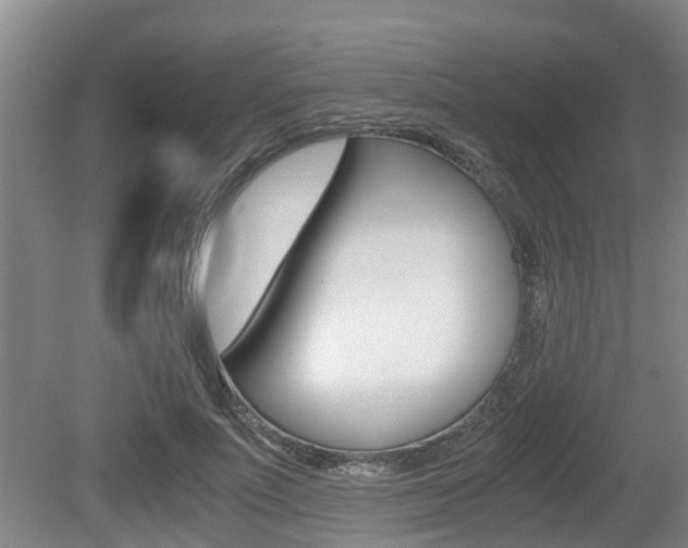 X0000079300691200611170829