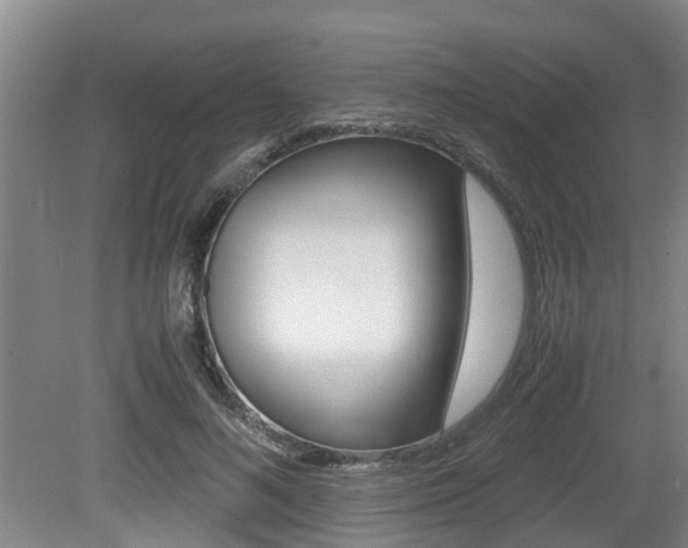 X0000079300692200611170829