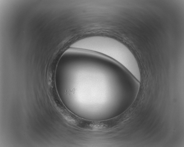 X0000079300693200611170829