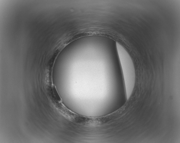 X0000079300696200611170829
