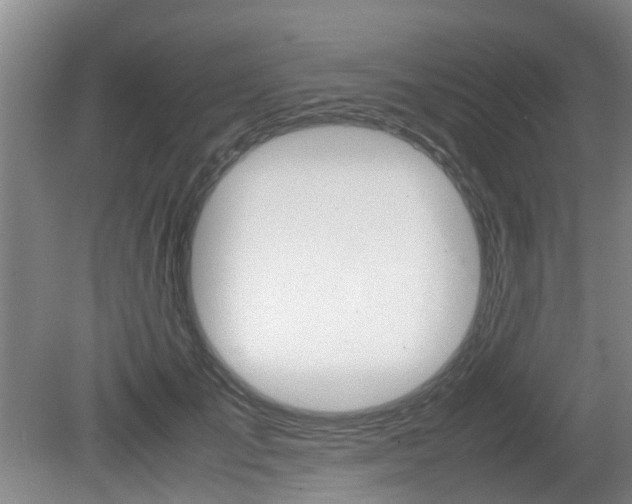 X0000079300701200611170829