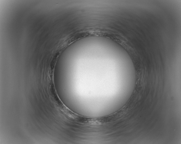 X0000079300702200611170829