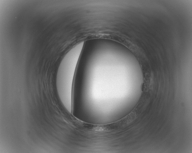 X0000079300704200611170829