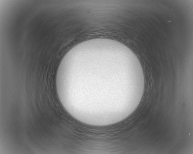 X0000079300705200611170829