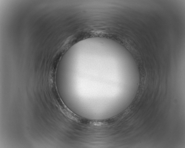 X0000079300710200611170829
