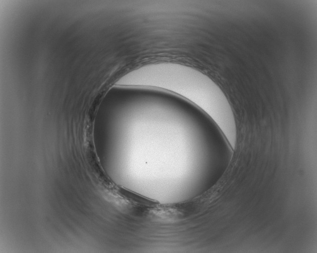 X0000079300712200611170829
