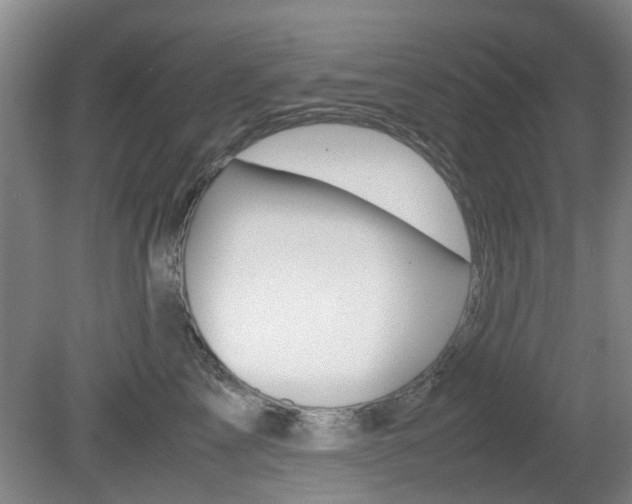 X0000079300713200611170829