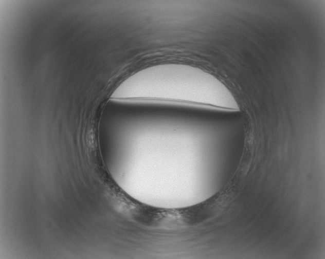 X0000079300715200611170829