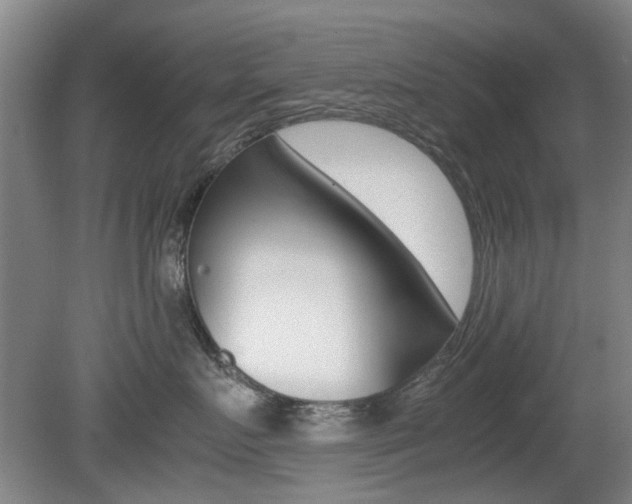 X0000079300719200611170829