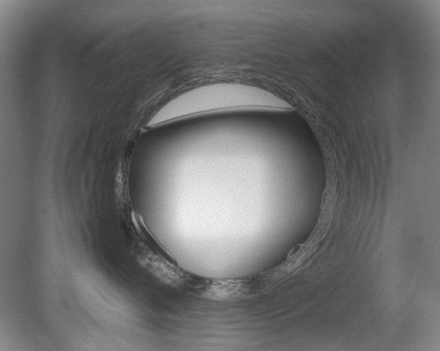 X0000079300720200611170829