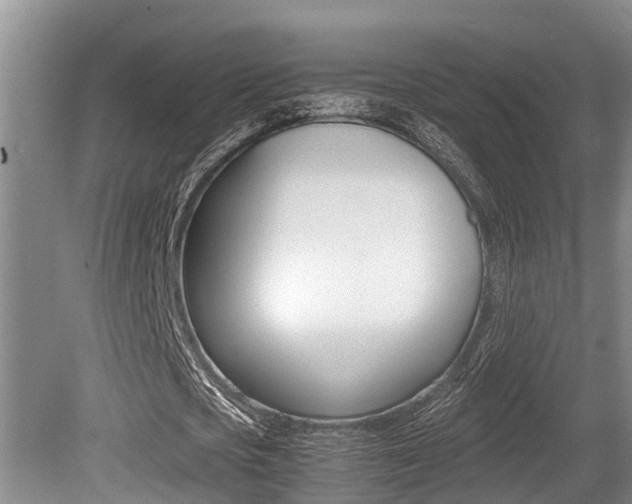 X0000079300721200611170828