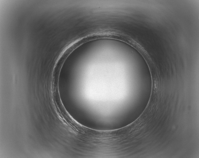 X0000079300724200611170828